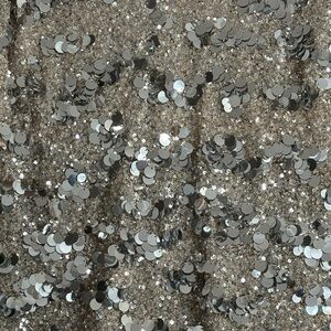 BOston Proper Silver Sequin Pants